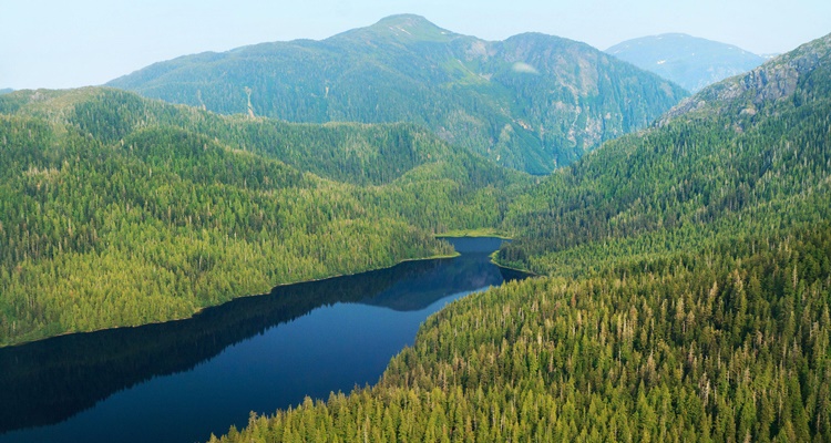 Bosques de Tongass en Estados Unidos