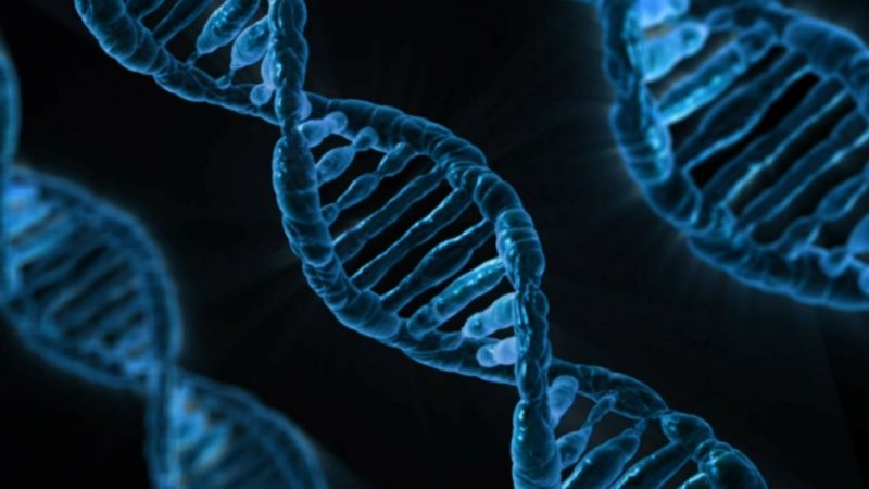 Cáncer de estómago: las causas que lo provocan 4 Merca2 Cáncer por mutaciones hereditarias genéticas