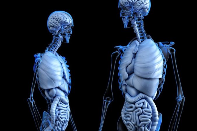 Cáncer de estómago: las causas que lo provocan 2 Merca2 Enfermedad de Menetrier por gastropatía hipertrófica
