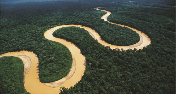 Las selvas mas grandes el Amazonas