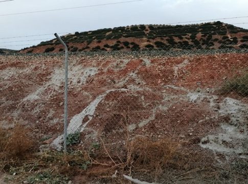 adif sepulta conejos adif sepulta conejos