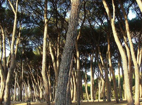 Madrid Casa de Campo Madrid Casa de Campo