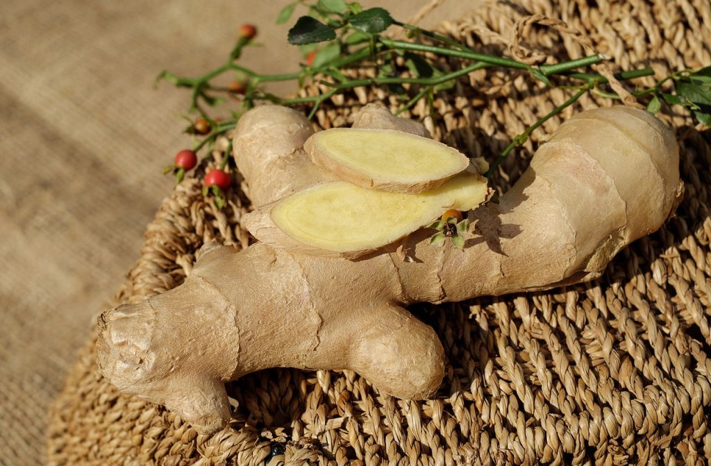 adelgar metabolismo