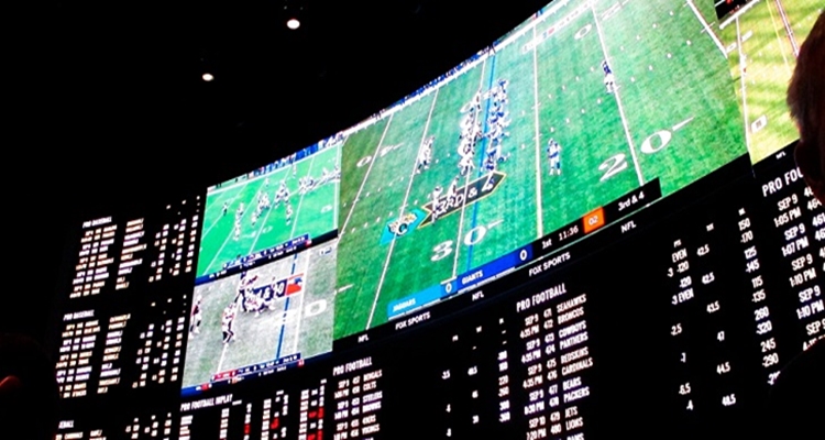 Jugadores activos en las diferentes casas