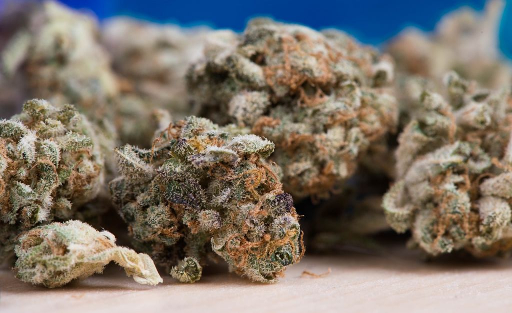 marihuana en cogollos