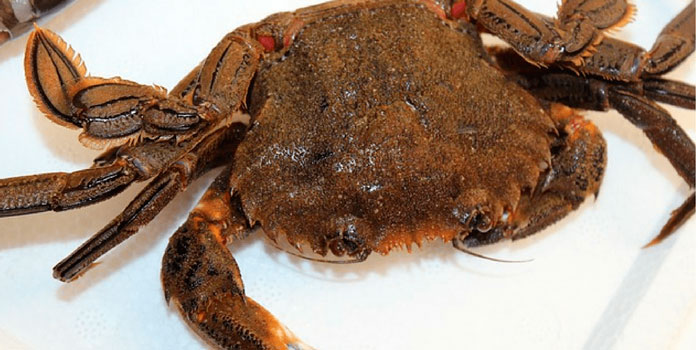 La forma en la que nunca debes descongelar el marisco 2 Merca2.es marisco congelar