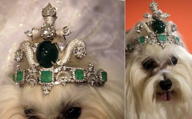 Los artículos de lujo que harán a tu perro un sibarita 1 Merca2.es Tiara de lujo para perro