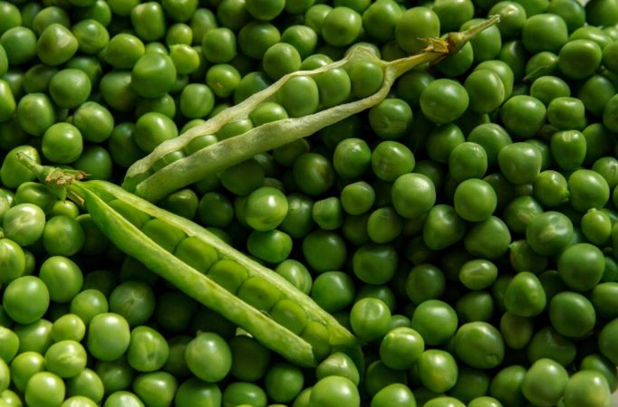 Guisantes  verdes