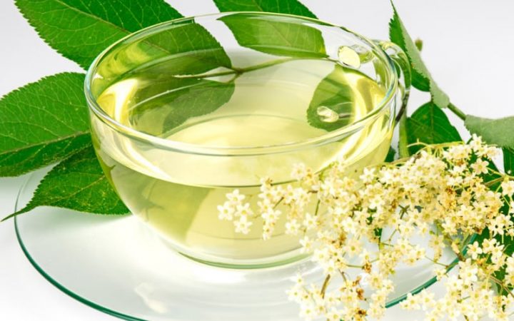 Infusiones de sauco para gripes y resfriados
