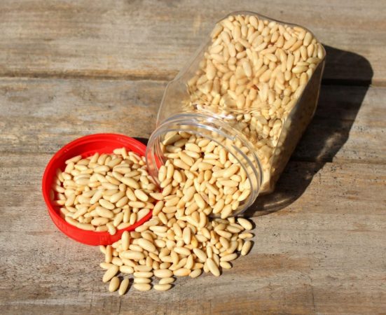 El agónico final del piñón: dos plagas devoran el sector 2 Merca2.es Piñon Piñones