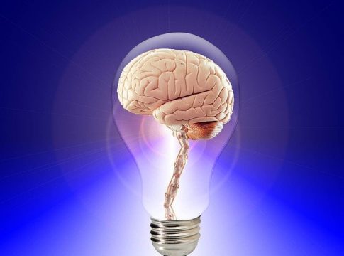 el azúcar y el cerebro el azúcar y el cerebro