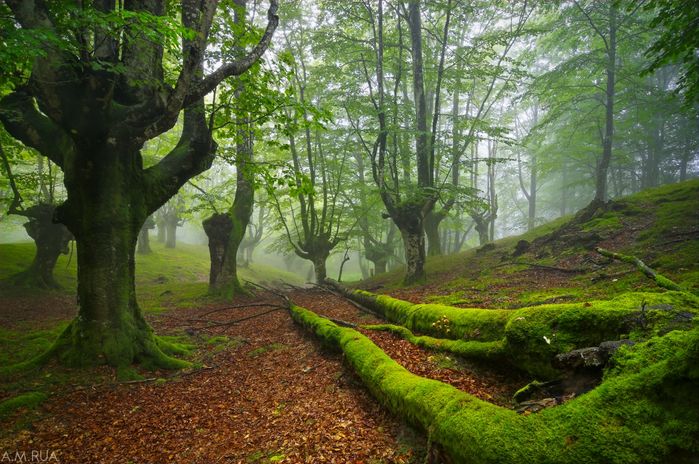 montaña de Gorbea