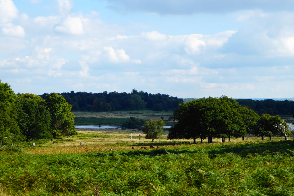 reino unido brexit Richmond Park, Londres. Lugares de Reino Unido, Brexit