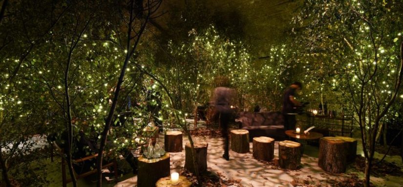 The Single Estate Rooms