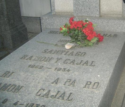 Necroturismo: así puedes descubrir las tumbas más importantes de los cementerios españoles 15 Merca2.es Cajal necroturismo en cementerios españoles