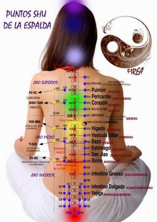acupuntura cuerpo entero