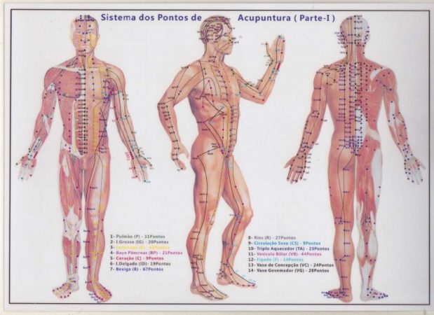 acupuntura cuerpo entero