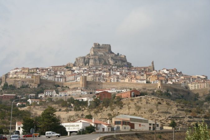 Morella