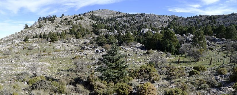 Sierra de las Nieves, Málaga