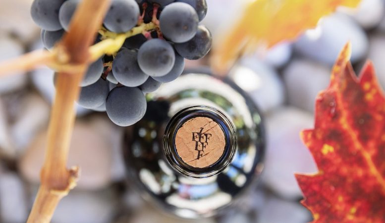 González Byass culmina su apuesta en Ribera del Duero 1 Merca2.es Botella Dominio Fournier en viñedos Merca2.es