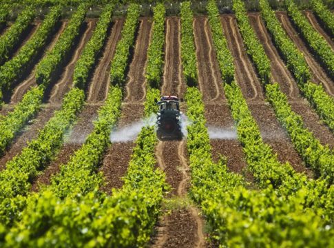 Sector agroalimentario Brexit España Sector agroalimentario