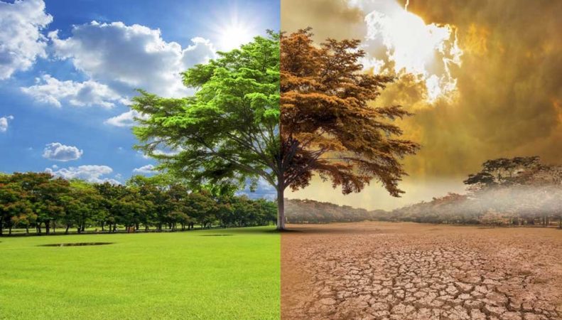 cambio climatico