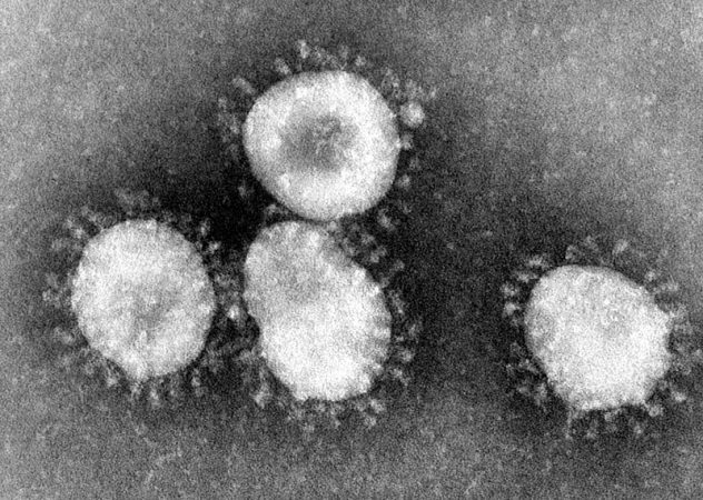 coronavirus2 Merca2.es
