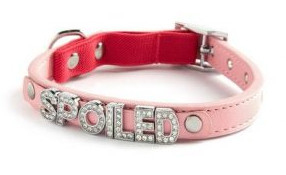 collar para perros de Primark