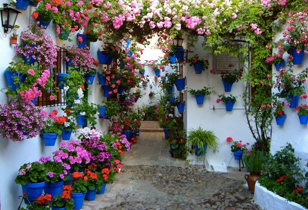 Patios de flores de Córdoba