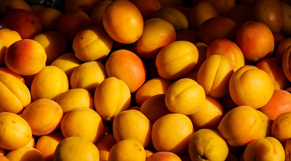 albaricoques