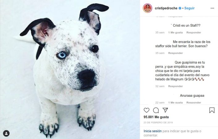 Cristina Pedroche, Cristina Hazas, Edurne mascotas