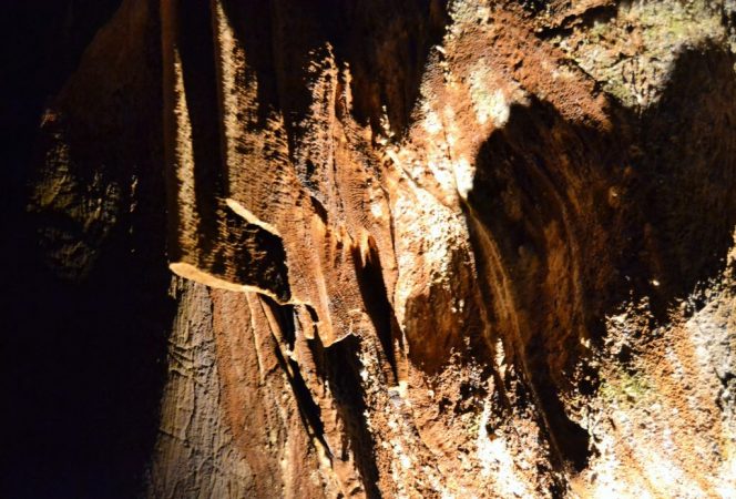 Cuevas de San José, España