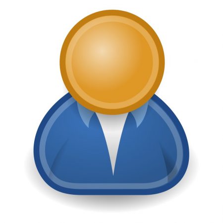 declaración individual