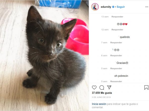 Uno de Edurne, Mascotas famosas Marta Hazas Cristina Pedroche