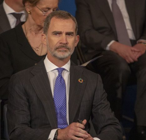 Felipe VI, Don Juan Carlos I