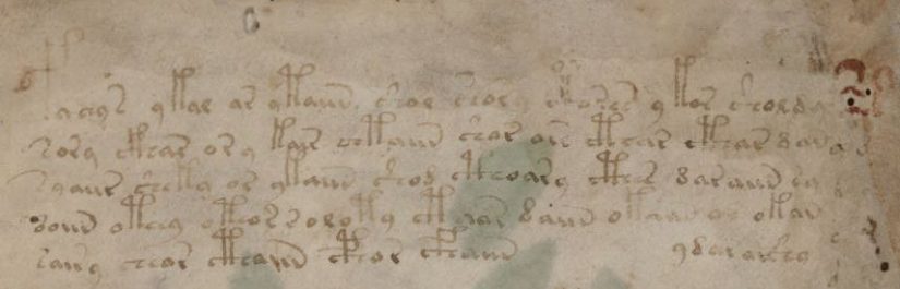 manuscrito de Voynich