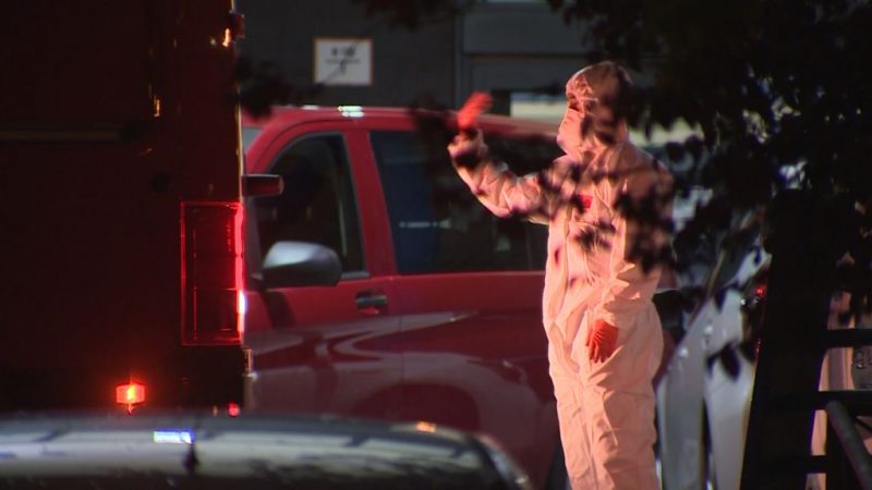 distribucion material sanitario