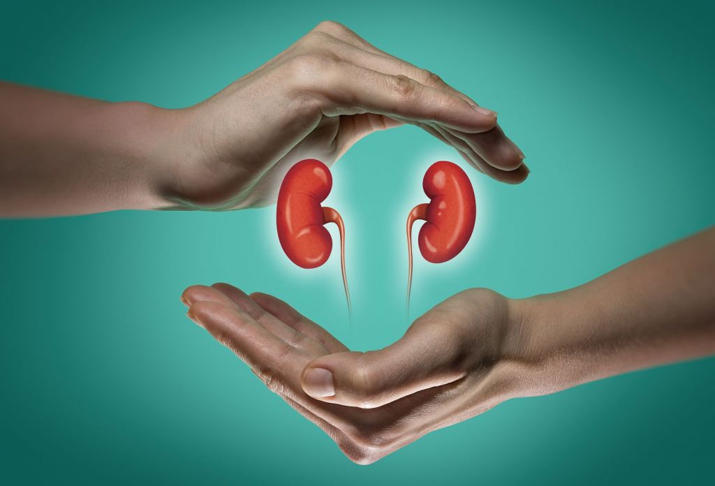 enfermedad renal