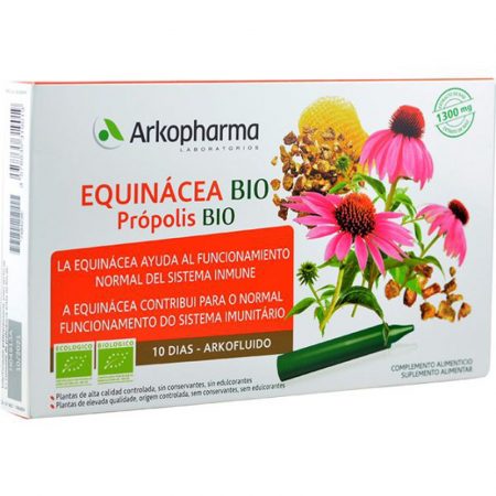 Productos naturales con los que fortalecer el sistema inmunológico 1 Merca2.es equinácea