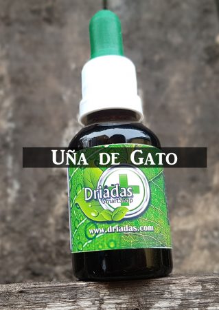 Productos naturales con los que fortalecer el sistema inmunológico 5 Merca2.es uña de gato
