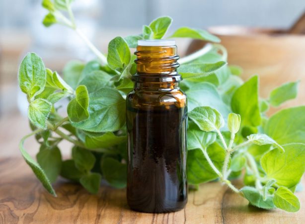 Consejos para oxigenar los pulmones y evitar problemas respiratorios 12 Merca2.es oregano oil Merca2.es