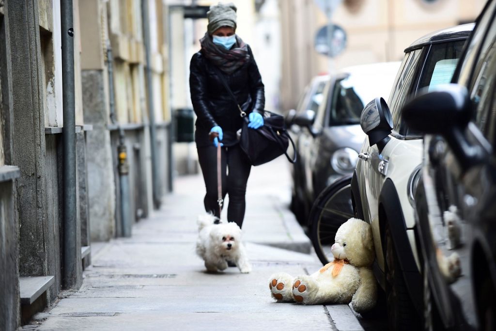 Ligar en cuarentena - pasear perro