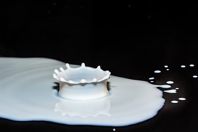 leche de vaca es mala