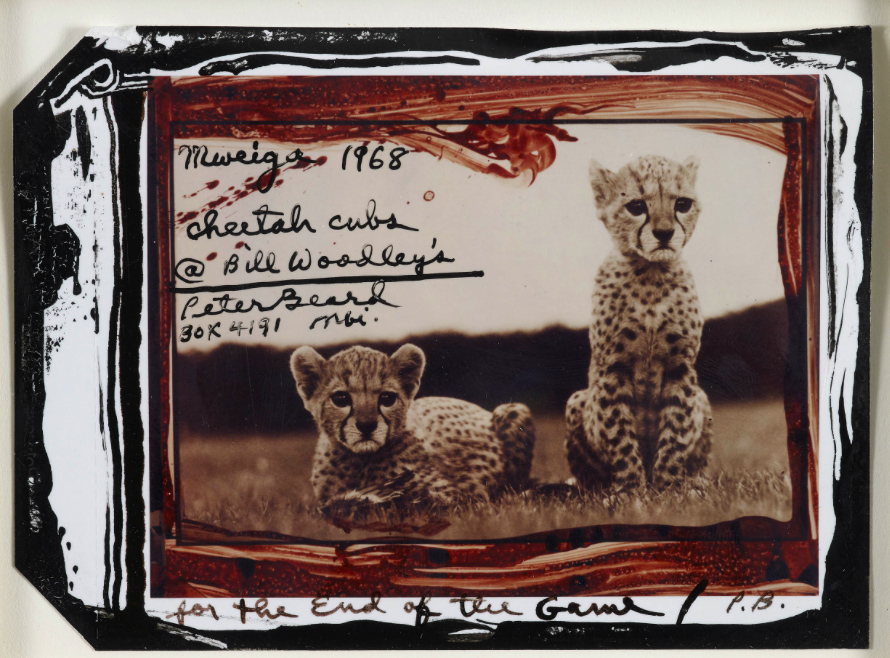 El adiós a Peter Beard que cambiará la cotización de su obra para siempre 3 Merca2.es Subasta Peter Beard