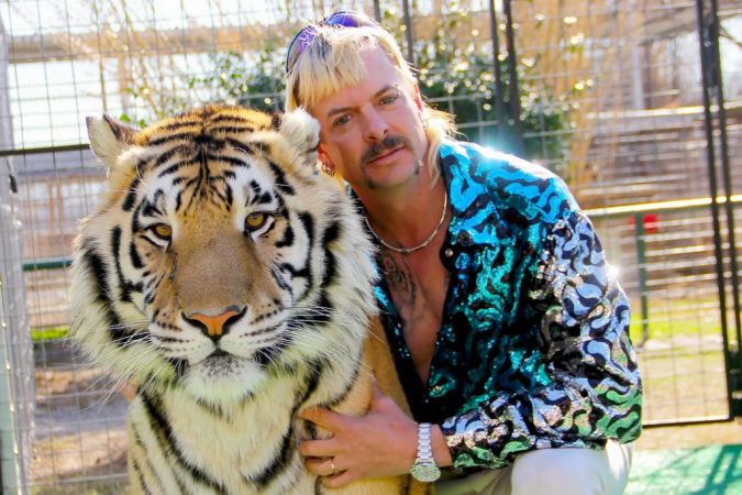 Cul tigerking IMG 00852520JEPA R Merca2.es