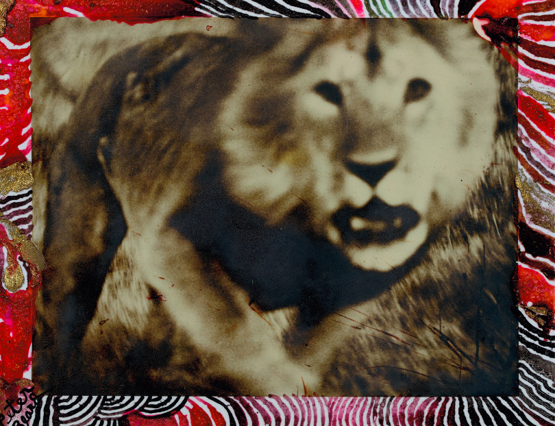 El adiós a Peter Beard que cambiará la cotización de su obra para siempre 4 Merca2.es Peter Beard