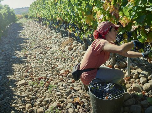 Rioja Alta proyectos agrícolas África Rioja Alta proyectos agrícolas África