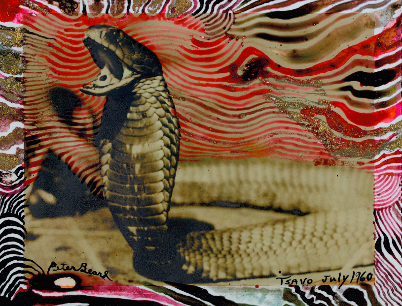 El adiós a Peter Beard que cambiará la cotización de su obra para siempre 5 Merca2.es Tsavo Merca2.es