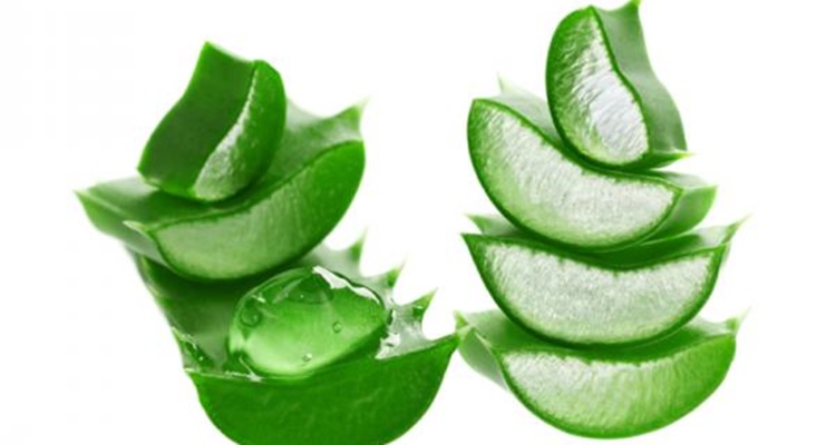 Trucos encías: aloe vera