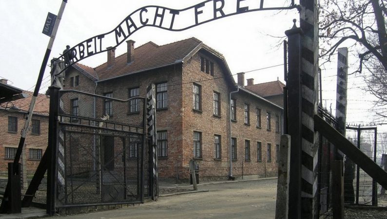 auschwitz Merca2.es